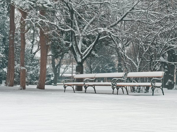 Les régimes minceur les plus populaires analysés